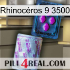 Rhinocéros 9 3500 37